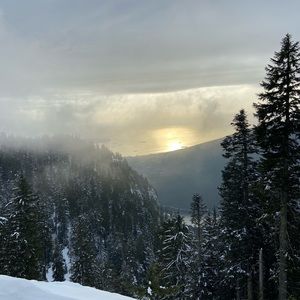 Meet your Posher, Naomi